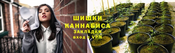 ПСИЛОЦИБИНОВЫЕ ГРИБЫ Коряжма