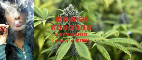 ПСИЛОЦИБИНОВЫЕ ГРИБЫ Коряжма