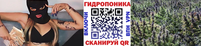 Бошки Шишки тримм  купить закладку  Малгобек 